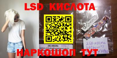 стаф Бузулук