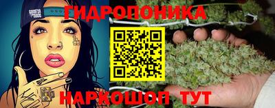 2c-b Будённовск