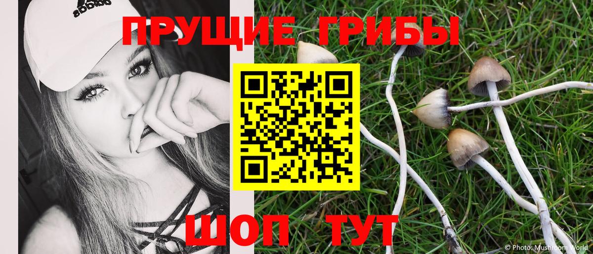 Псилоцибиновые грибы мицелий  Вход с VPN  Медногорск 