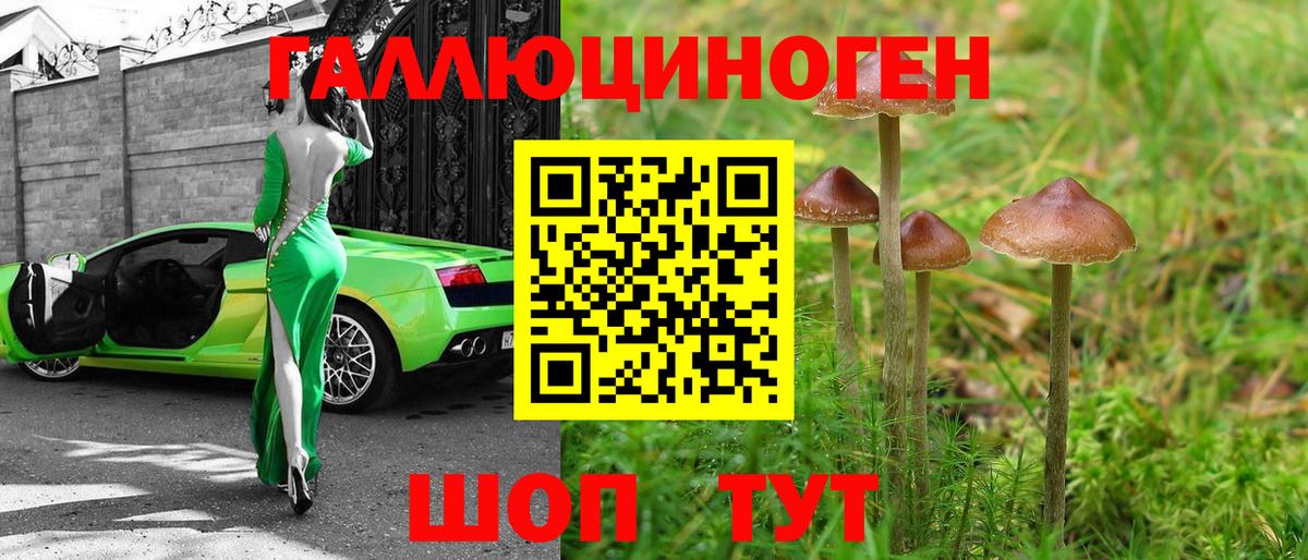 Галлюциногенные грибы прущие грибы Медногорск